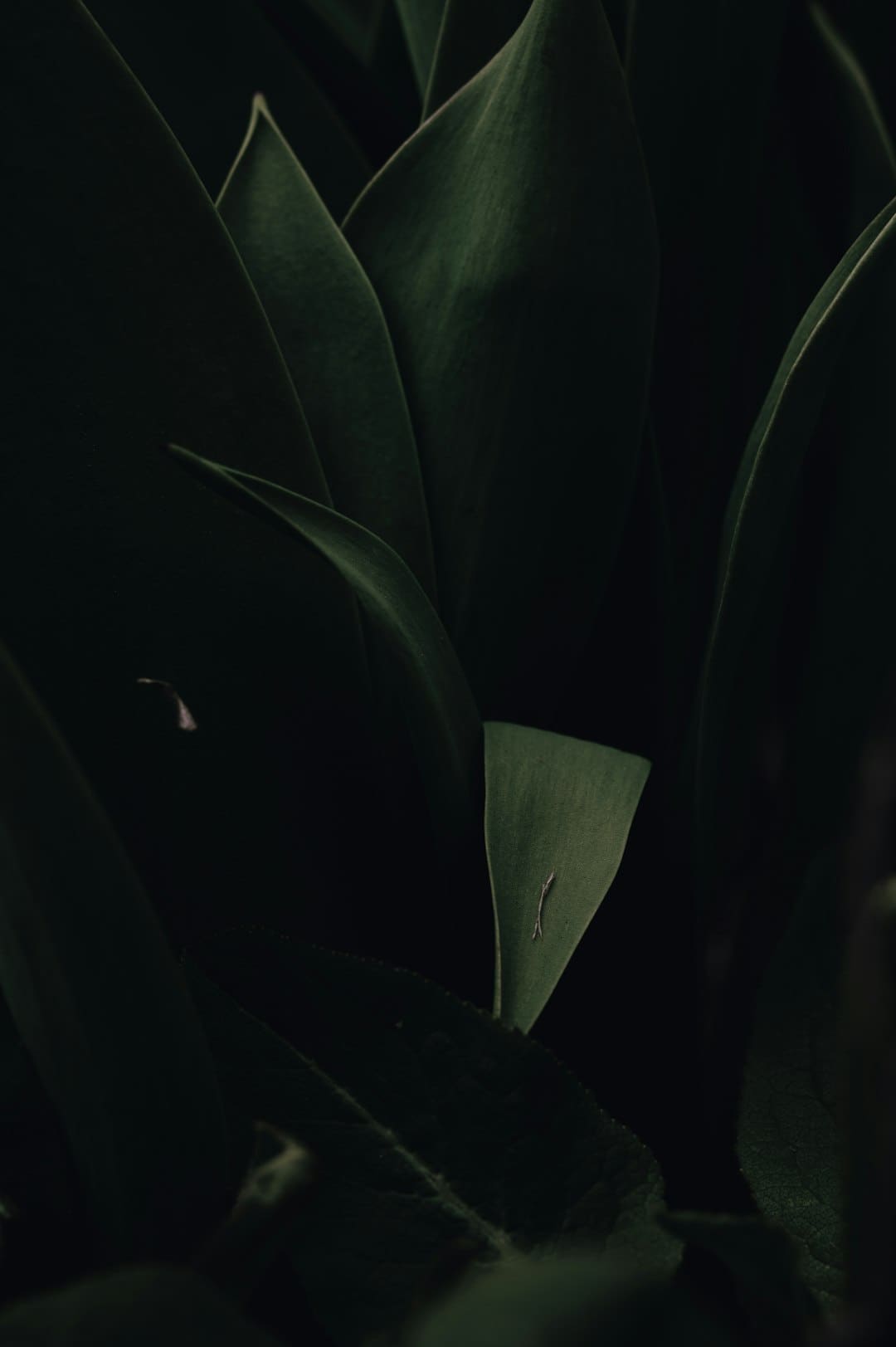 《子夜归》徐凯是干什么的?